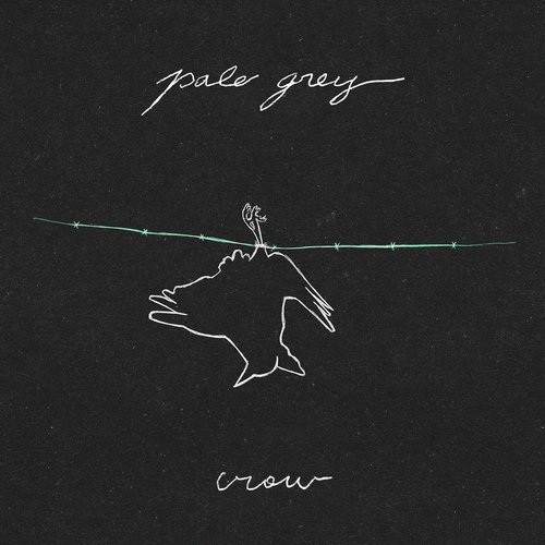Crow cover art