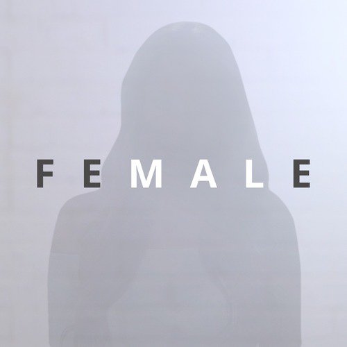 Female (feat. Kalie Shorr, Lacy Green, Lena Stone, Lacy Cavalier, Kim Paige, Tiera, Savannah Keyes &amp; Tasji Bachman)_poster_image