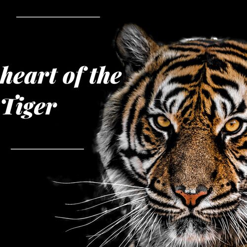 Heart of the Tiger_poster_image