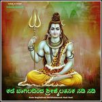 Kade Bagiladinda Shrishailatanak Nadi Nadi