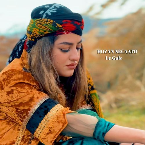 Vono cover art