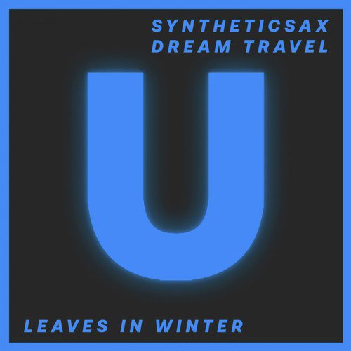 Leaves in Winter (Original Mix)