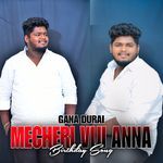 MECHERI VIJI ANNA Birthday Song