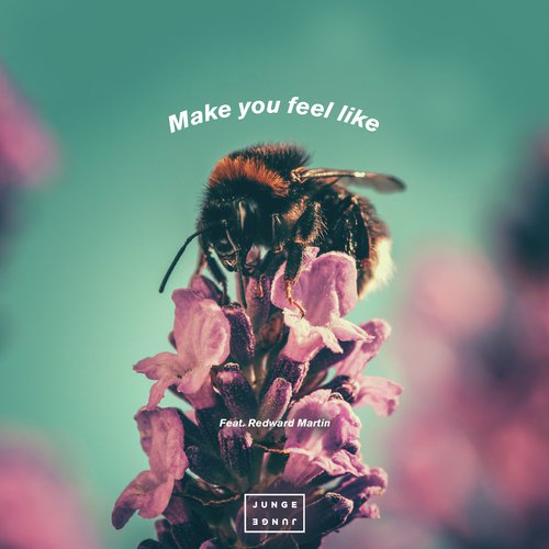 Make You Feel Like_poster_image