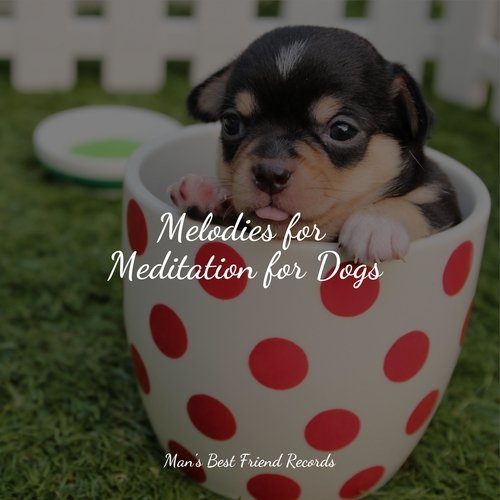 Melodies for Meditation for Dogs