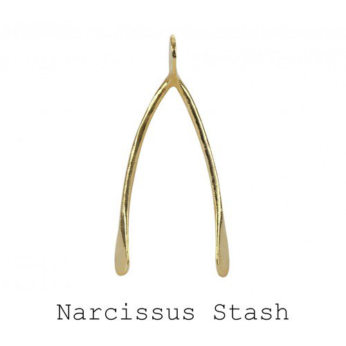 Narcissus Stash