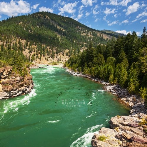 The Tiny Creek cover art