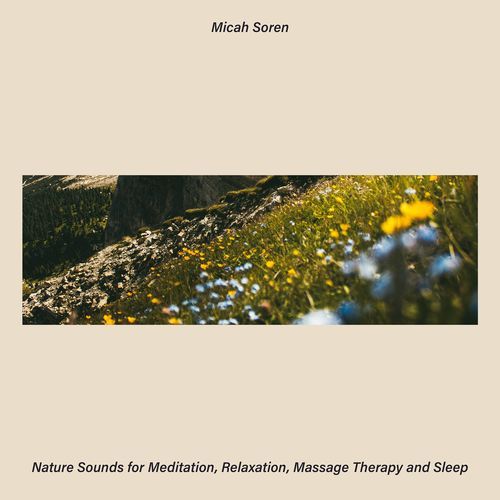 Nature Sounds: Thunderstorm cover art