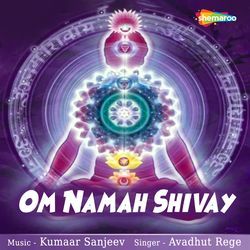 Om Namah Shivay