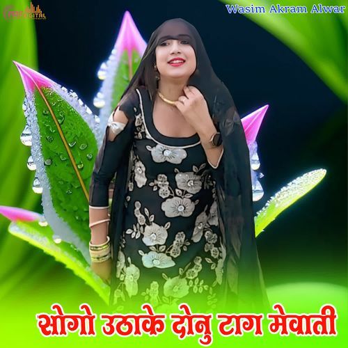 सोगो उठाके दोनु टाग मेवाती