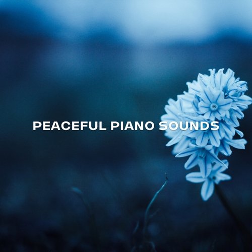 Peaceful Piano Sounds_poster_image