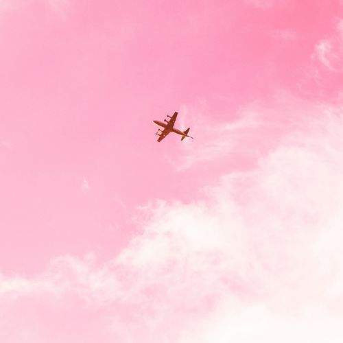 Pink Drift Focus cover art