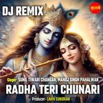 Radha Teri Chunari Dj Remix