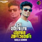 Se Hoilo Go Amar Pran Sojoni