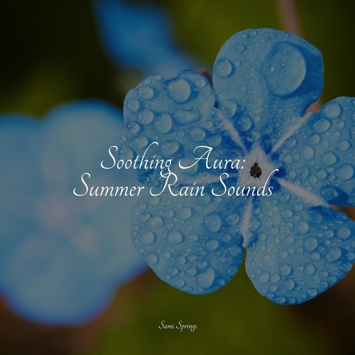 Soothing Aura: Summer Rain Sounds