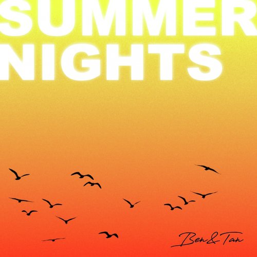 Summer Nights_poster_image