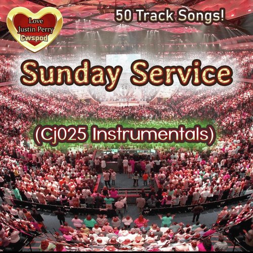 Shine for the Fallen Stars (Instrumental) cover art