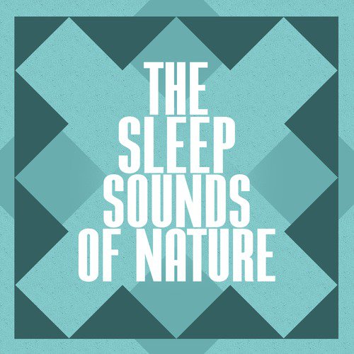 The Sleep Sounds of Nature