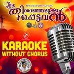 Thiranjedukkappettavan