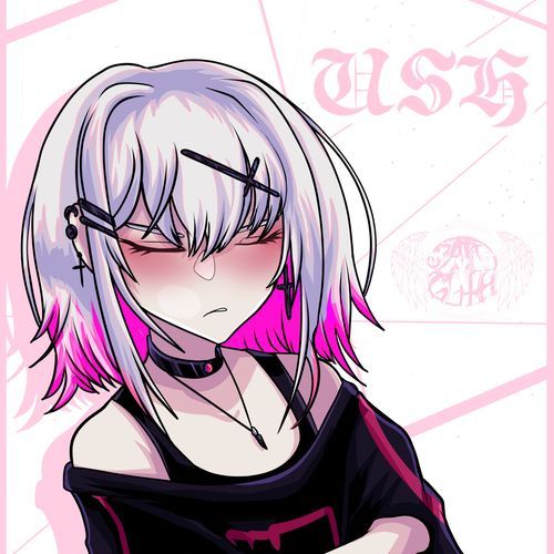 USH (Instrumental Version) cover art