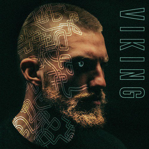 Viking cover art