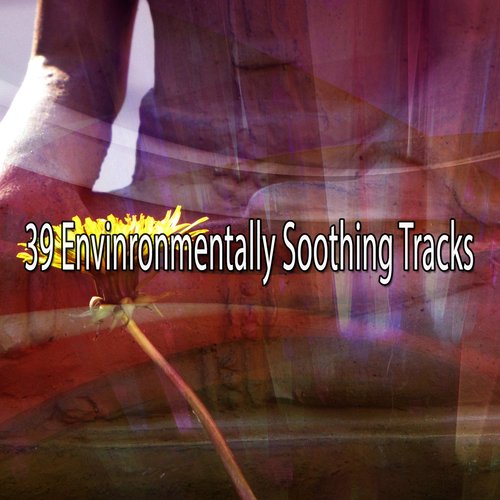 39 Envinronmentally Soothing Tracks