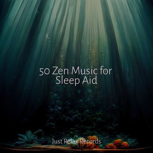 50 Zen Music for Sleep Aid