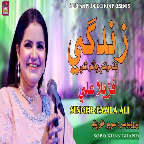 Aa Zindgi Budhaie Monkhe Cha Dino Athai