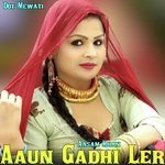 Aaun Gadhi Ler