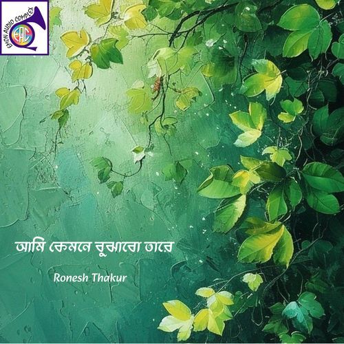 আমি কেমনে বুঝাবো তারে