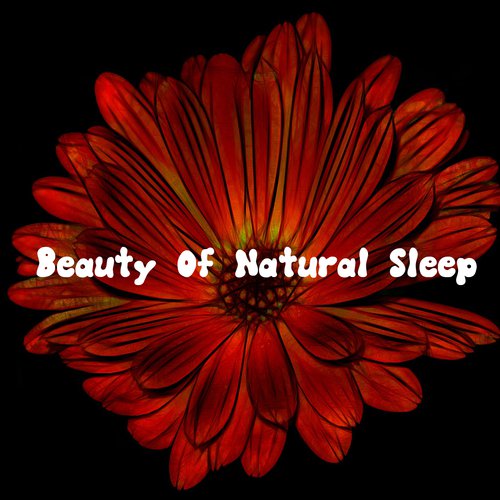 Beauty Of Natural Sleep