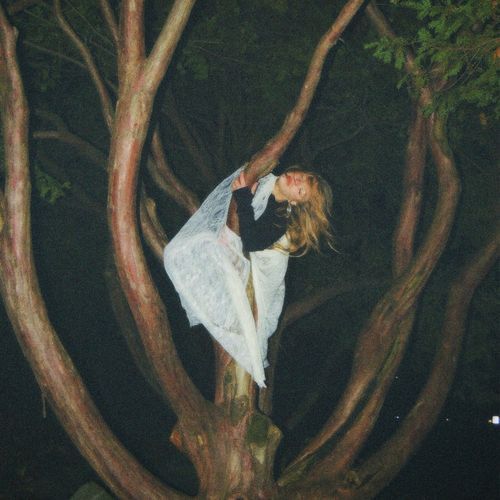 Chrysalide cover art