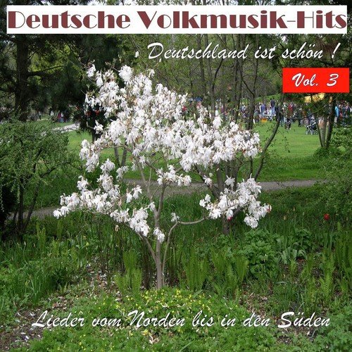 Deutsche Volksmusik Hits - Deutschland ist schön! Lieder vom Norden bis in den Süden, Vol. 3