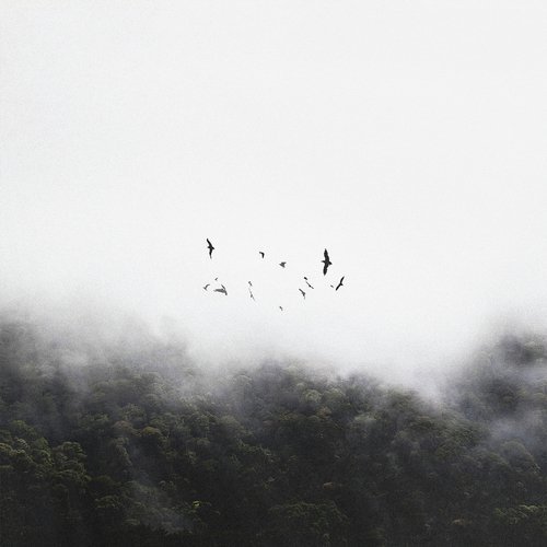 Felt cover art