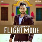 Flight Mode