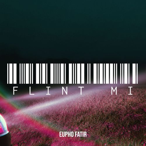 Flash Funk cover art