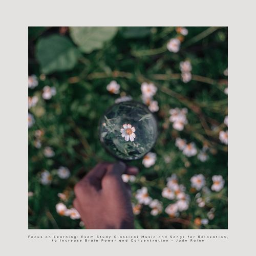 Study Music Orchestra cover art