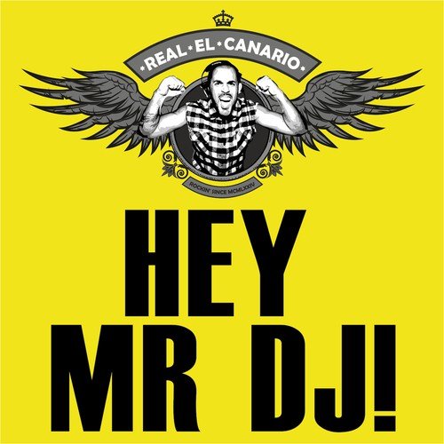 Hey Mr DJ - 1