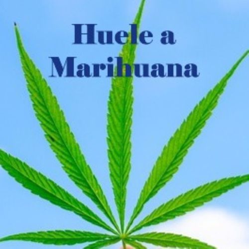 Huele A Marihuana cover art