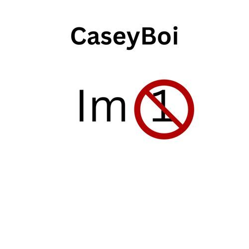 Im Not The One cover art