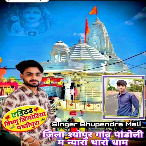 Jila sheopur gaon pandoli main nyara tharo dham
