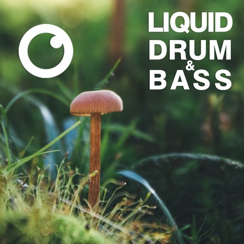 Liquid Drum & Bass Sessions 2020 Vol 39