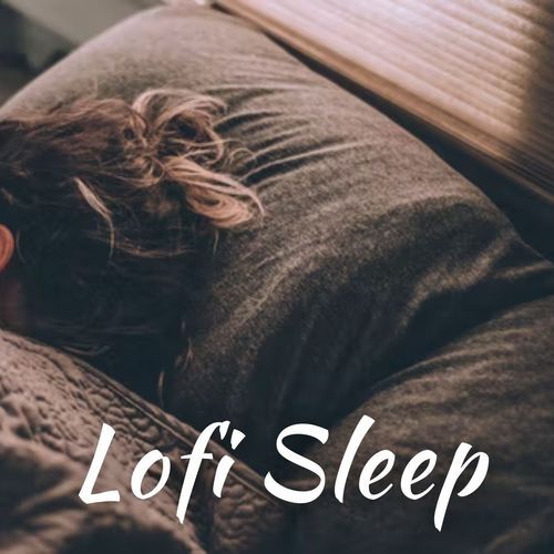 Lofi Sleep_poster_image