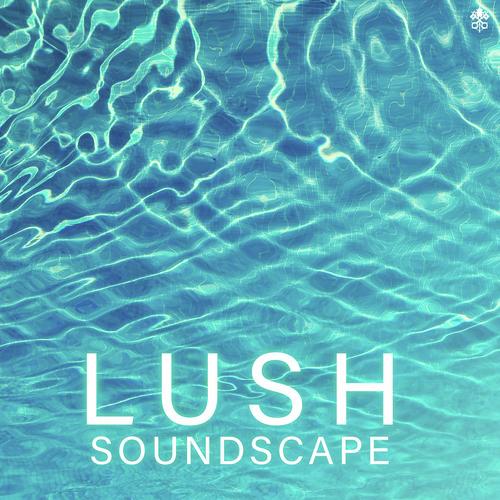 Lush Soundscape