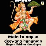 Main to aapka deewana Hanuman (Hindi Song)