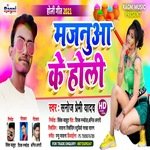 Majnua Ke Holi