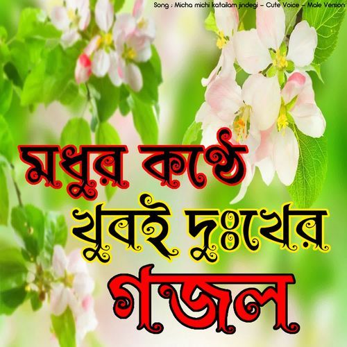 Micha michi katailam jindegi - Cute Voice - Male Version