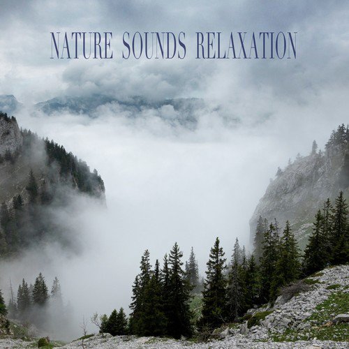 Calming River cover art