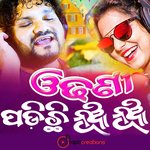 Odhanee Padichhi Nua Nua