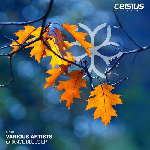 Orange Blues EP